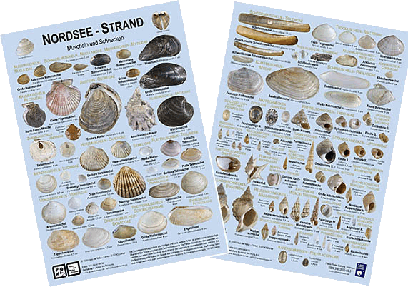 Nordsee - Strand - Miniposter