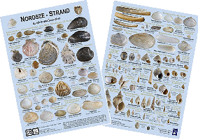 Laminierte Miniposter